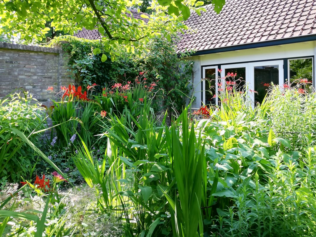 Foto 38 van George Perklaan 3