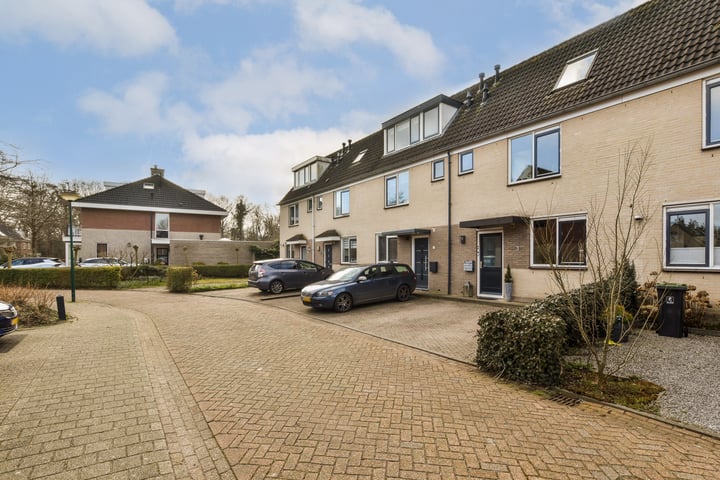 Bekijk foto van Sleutelbloem 7