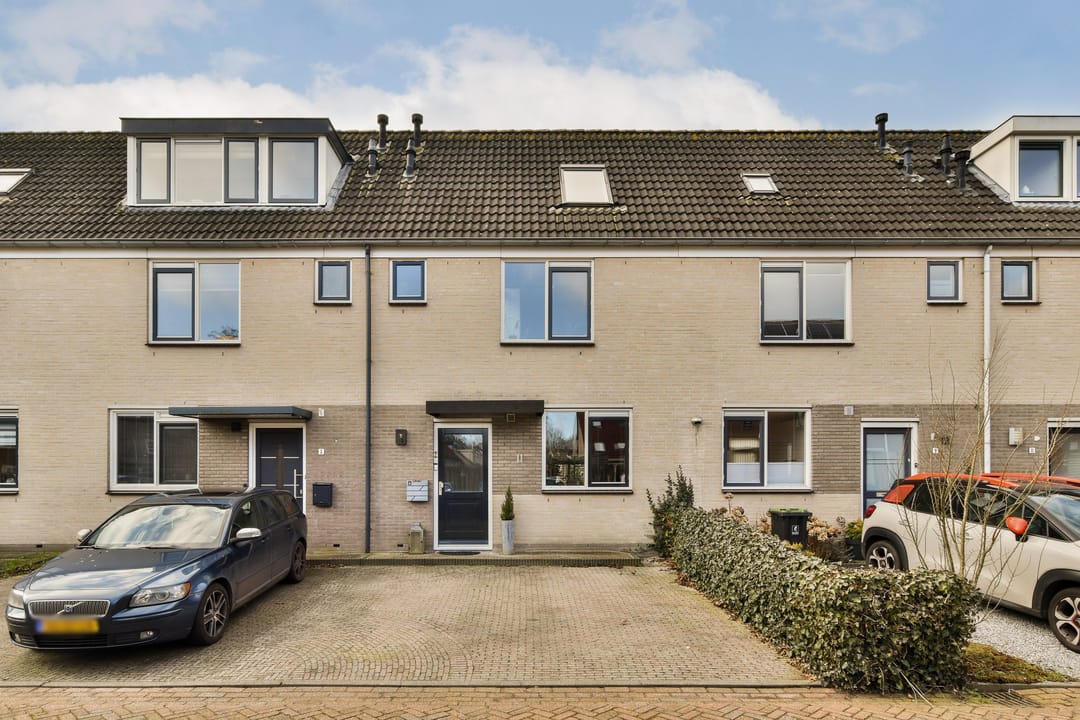 Foto 28 van Sleutelbloem 7