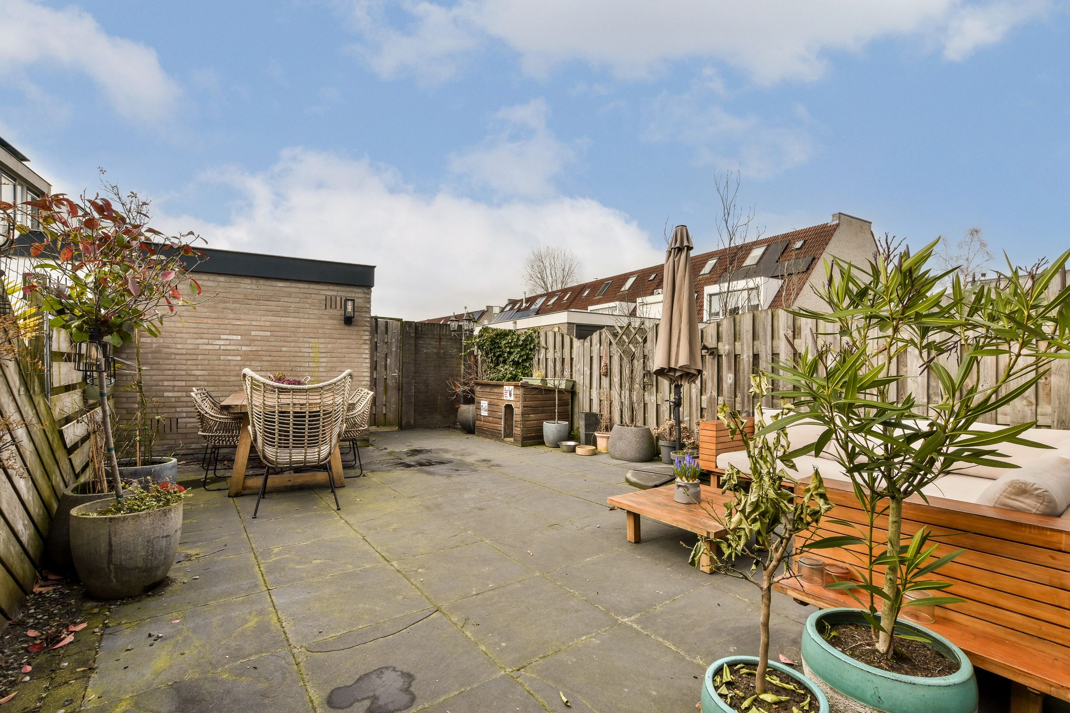 Foto 24 van Sleutelbloem 7