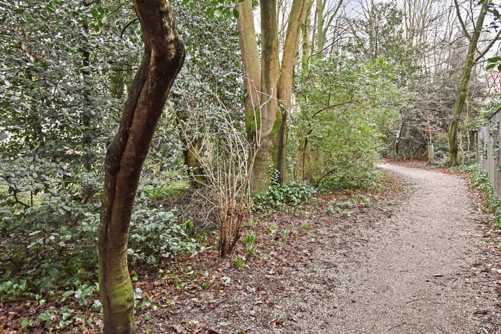 Foto 37 van Javastraat 155