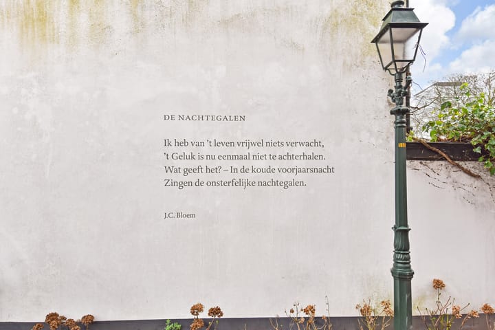 Foto 39 van Javastraat 155