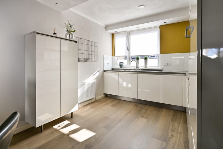 Foto 11 van Holenduif 20