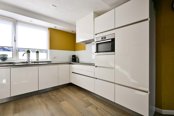 Foto 12 van Holenduif 20