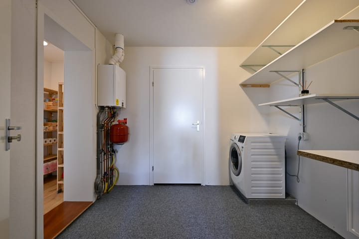 Foto 14 van Holenduif 20