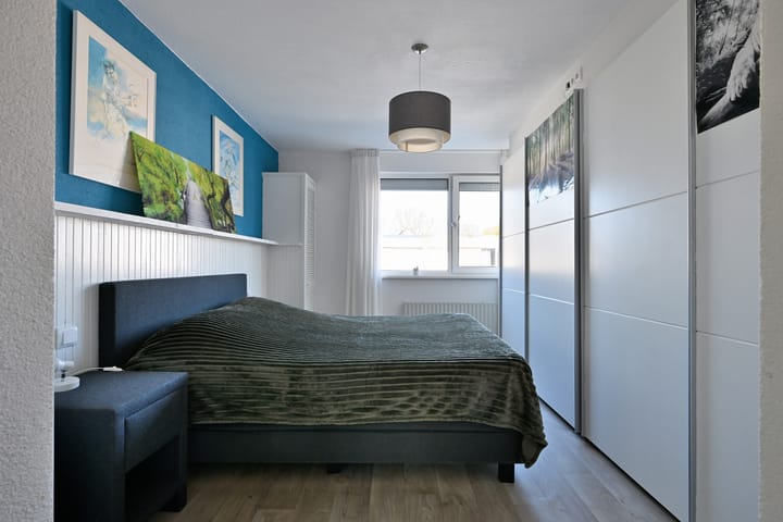 Foto 19 van Holenduif 20