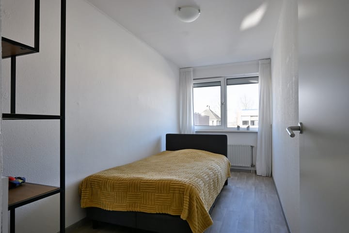 Foto 20 van Holenduif 20