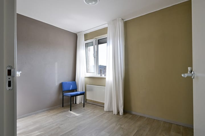 Foto 21 van Holenduif 20