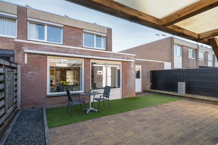 Foto 24 van Holenduif 20