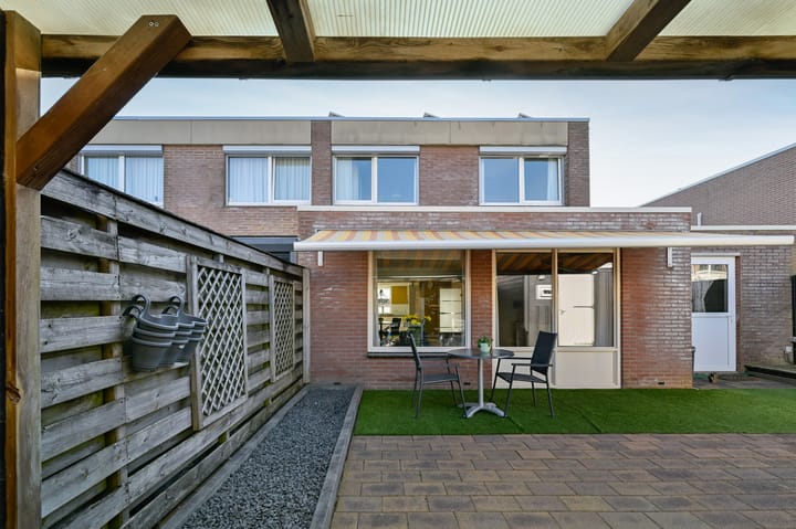 Foto 26 van Holenduif 20