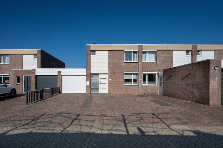 Foto 29 van Holenduif 20