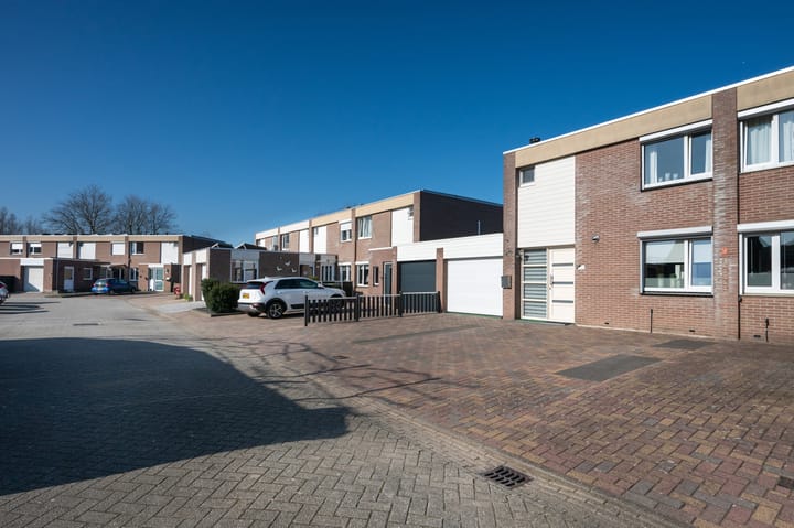 Foto 30 van Holenduif 20