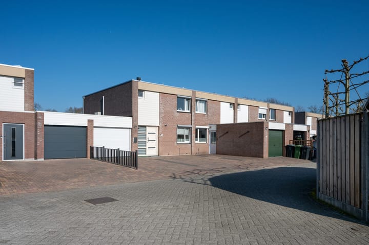 Foto 31 van Holenduif 20