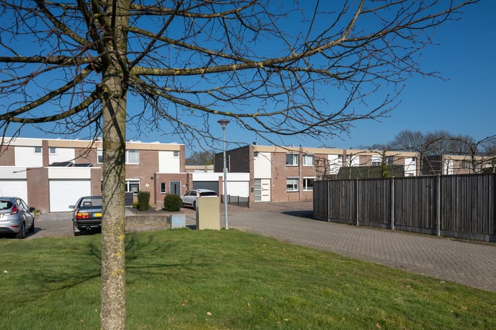 Foto 32 van Holenduif 20