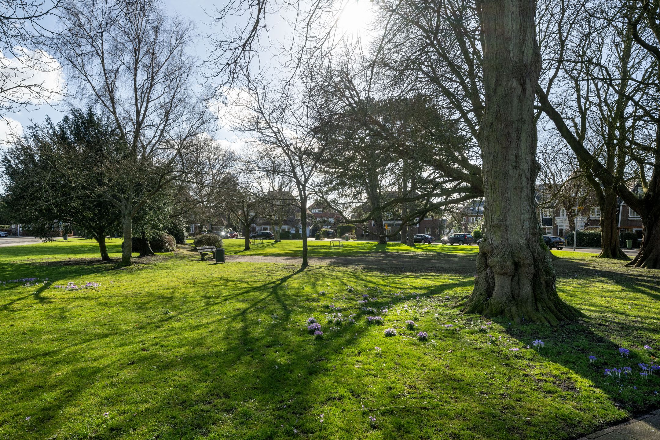 Foto 33 van Madelievenlaan 4