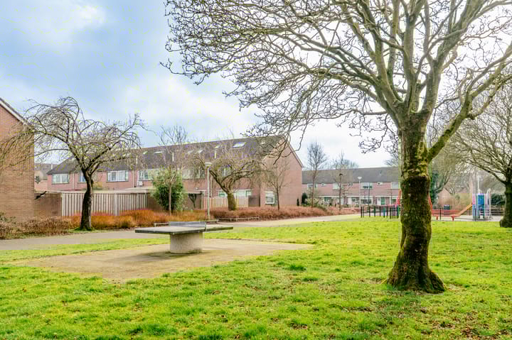 Foto 48 van Lijzij 35