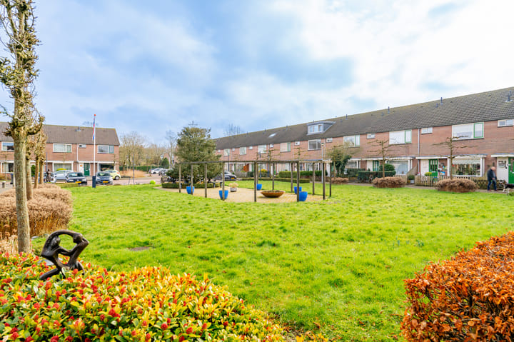 Foto 50 van Lijzij 35