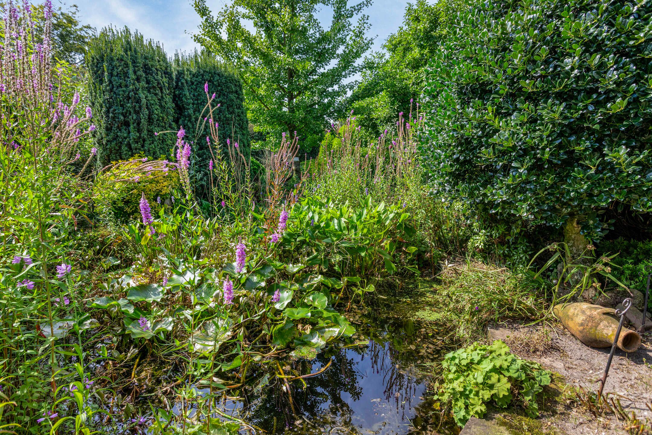 Foto 48 van Schepersweg 19