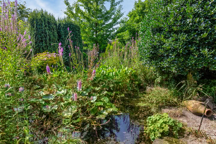 Foto 48 van Schepersweg 19