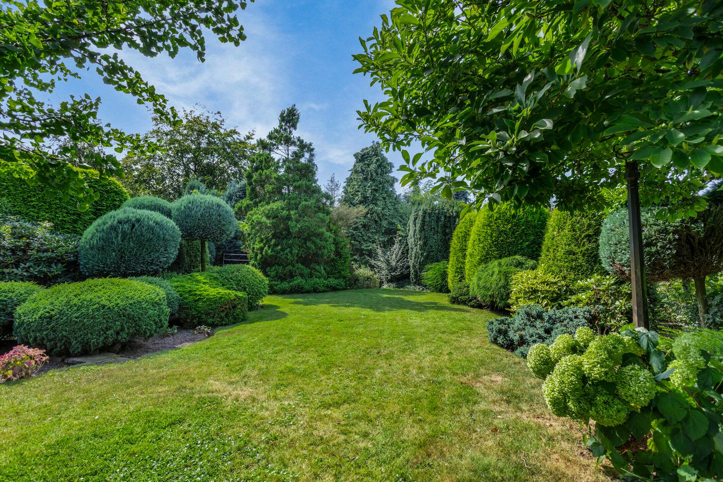 Foto 49 van Schepersweg 19