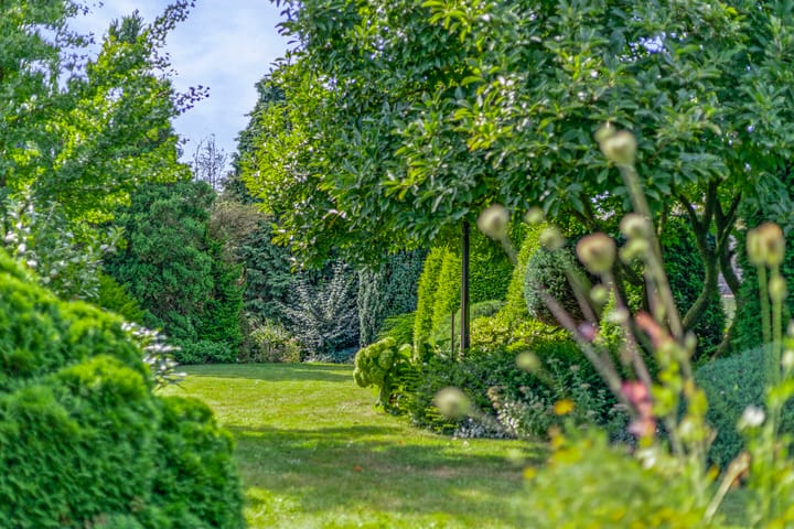 Foto 54 van Schepersweg 19