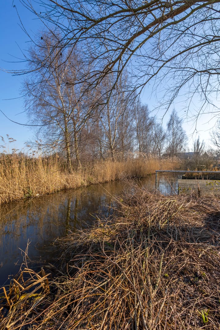 Photo 26 of Zouwendijk 38