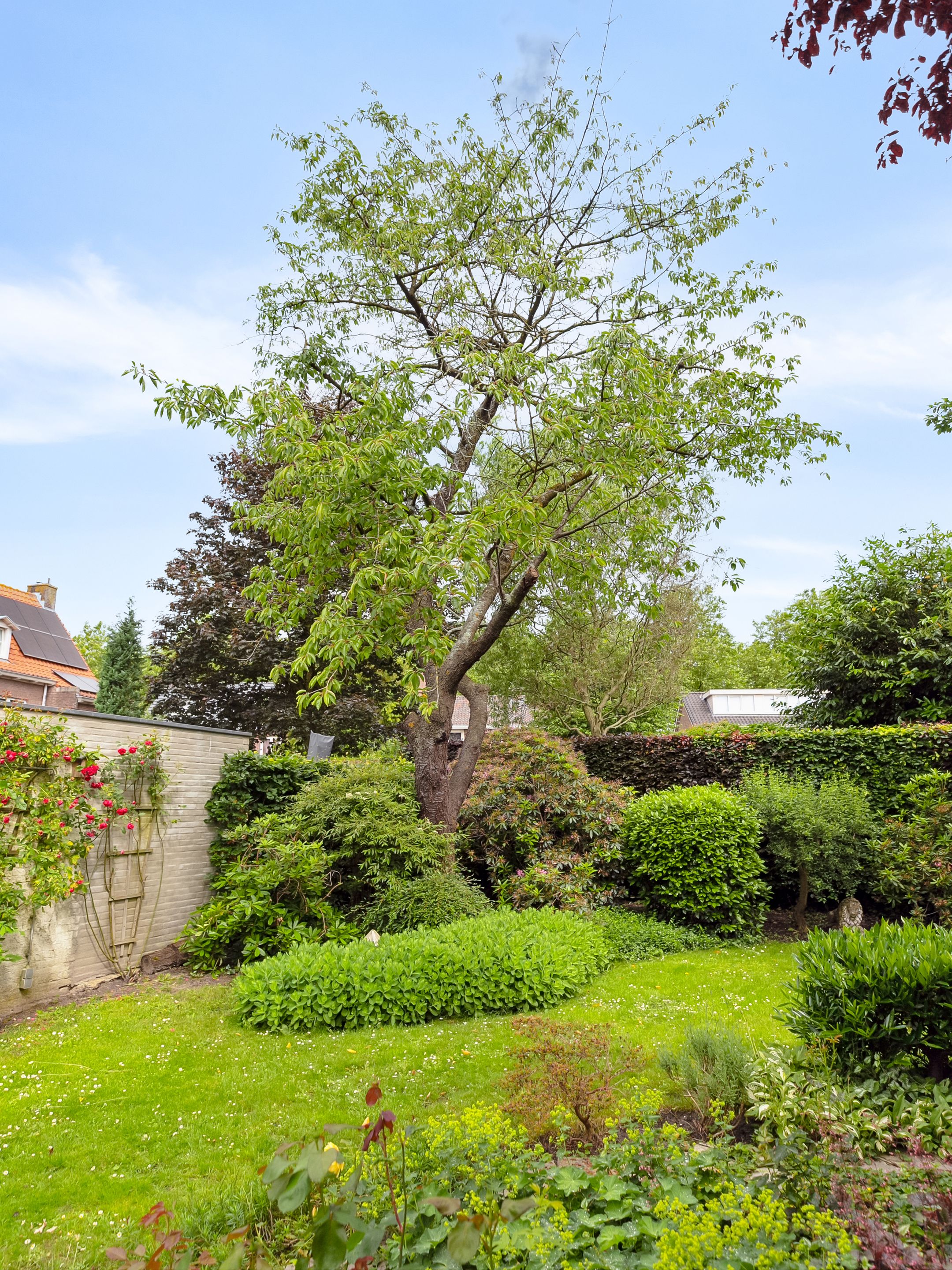 Foto 18 van Kamperfoeliestraat 22