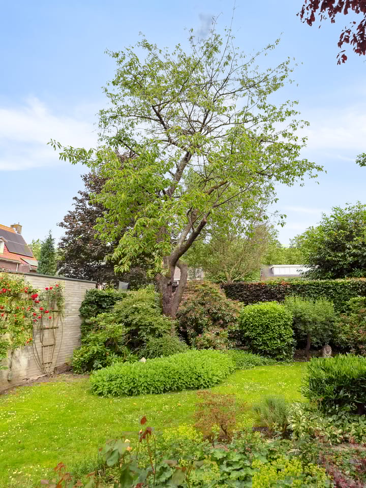 Foto 18 van Kamperfoeliestraat 22