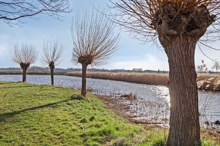 Photo 41 of Albardastraat 4