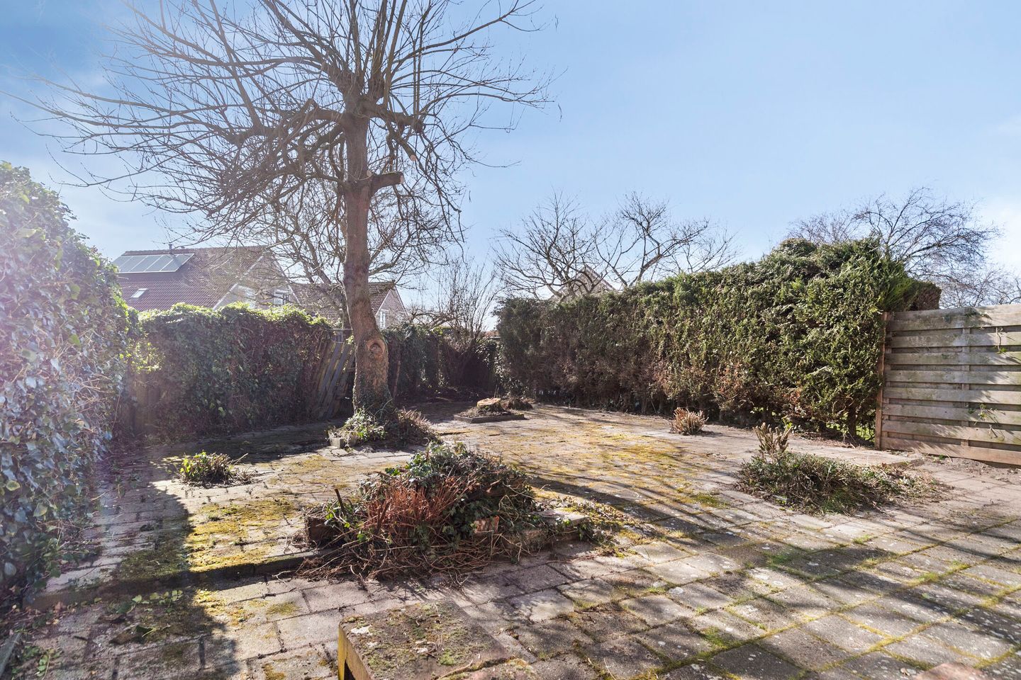 Photo 25 of Windmolenstraat 98