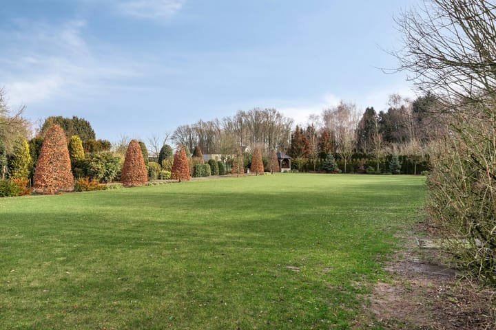 Foto 41 van Zandoerle 44