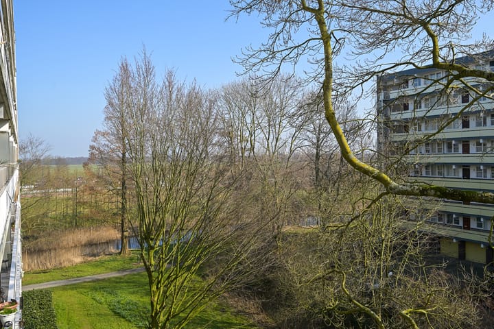 Foto 17 van Isabellaland 1022