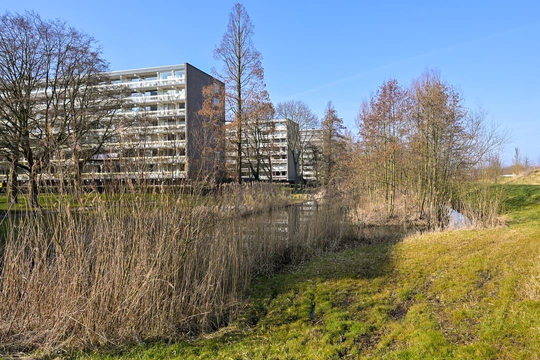 Foto 23 van Isabellaland 1022