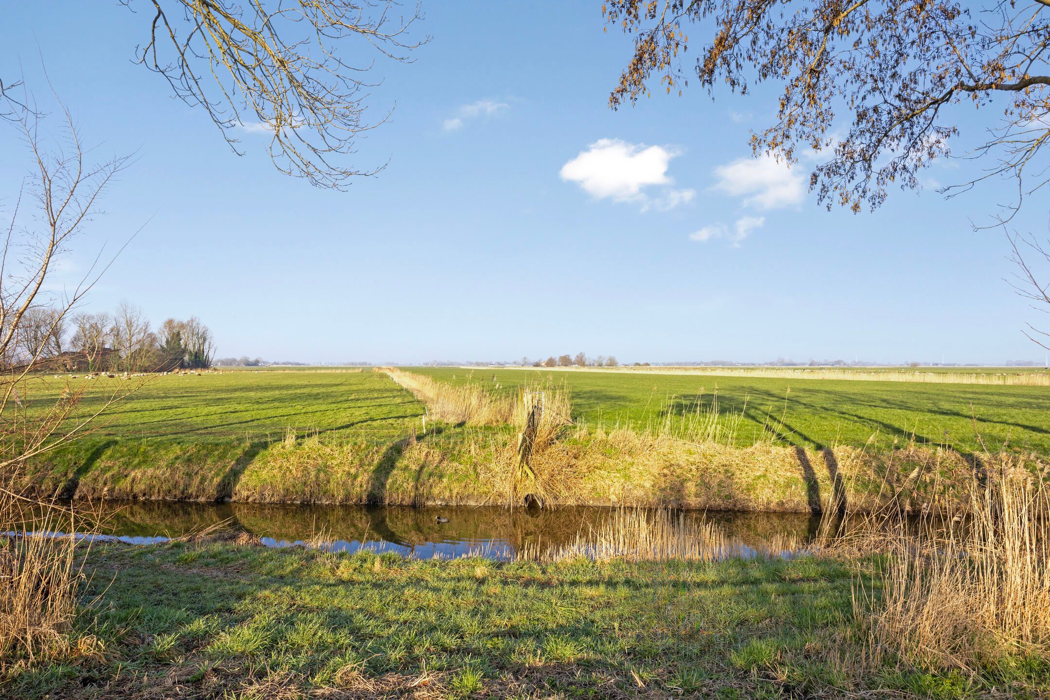 Foto 39 van Wolddijk 70