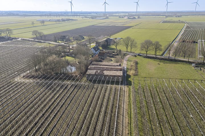 Foto 26 van Hooiweg 14