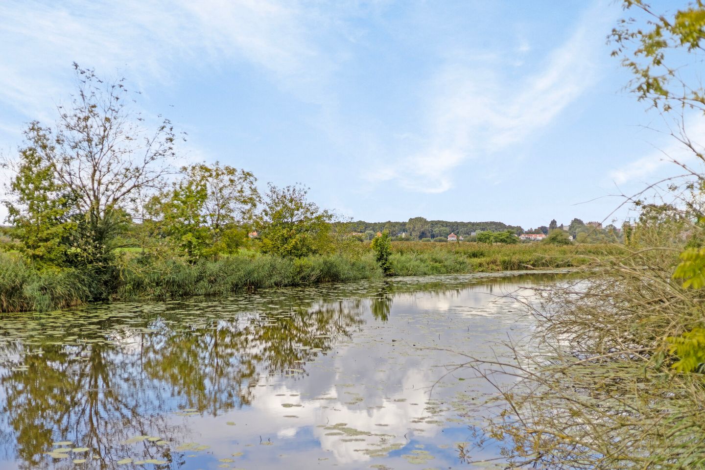 Photo 29 of Sweelinckplein 53