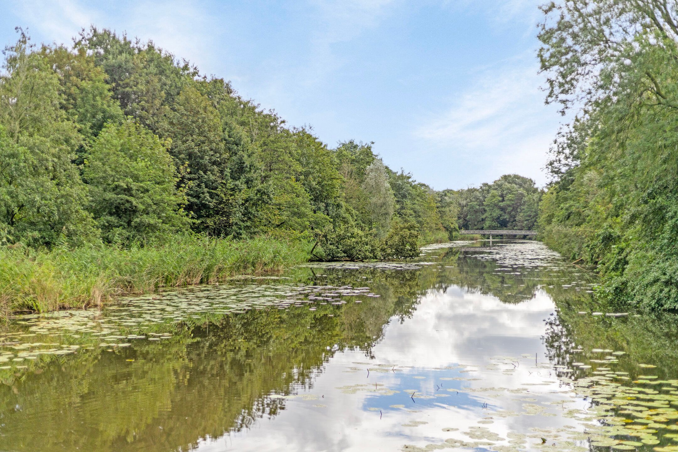 Photo 30 of Sweelinckplein 53