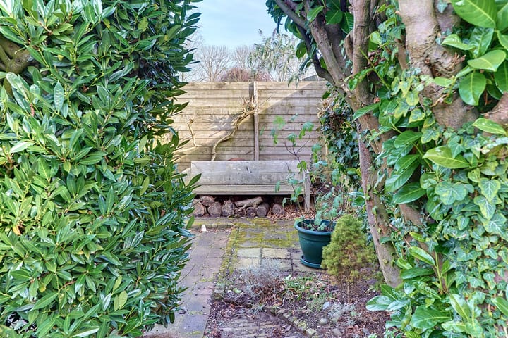 Foto 41 van Zeggemeen 6