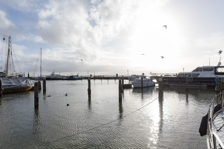 Foto 49 van Haringstraat 6