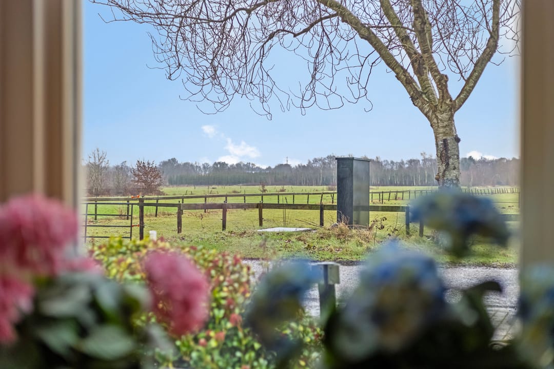 Foto 7 van de Streek 20