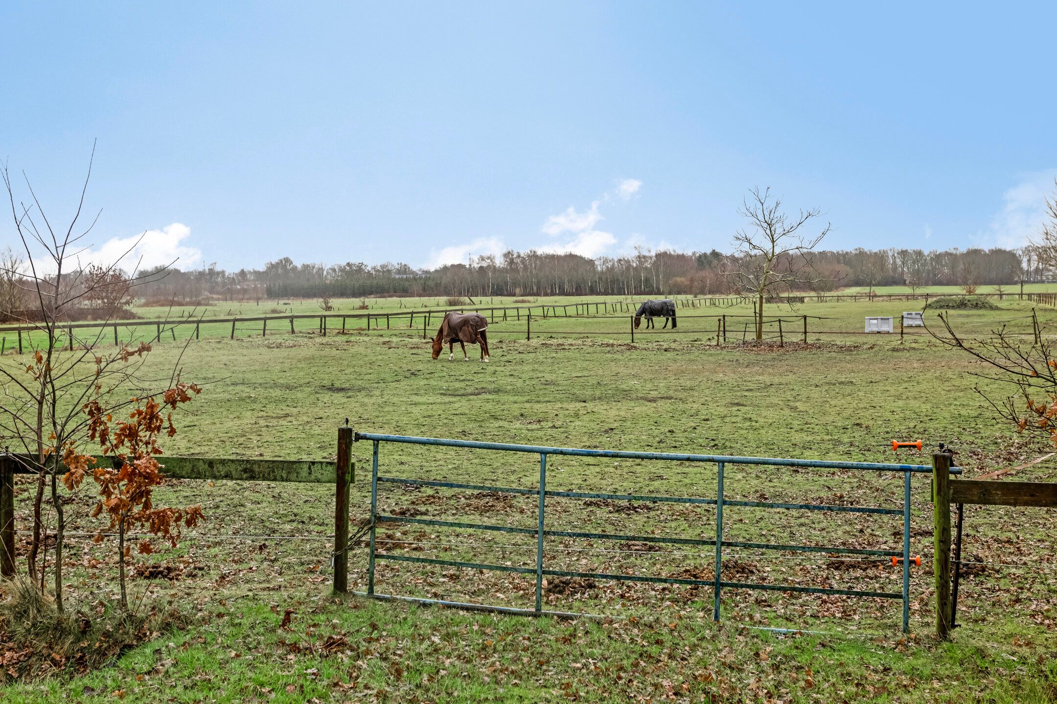 Foto 24 van de Streek 20