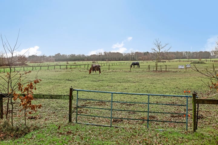 Foto 24 van de Streek 20