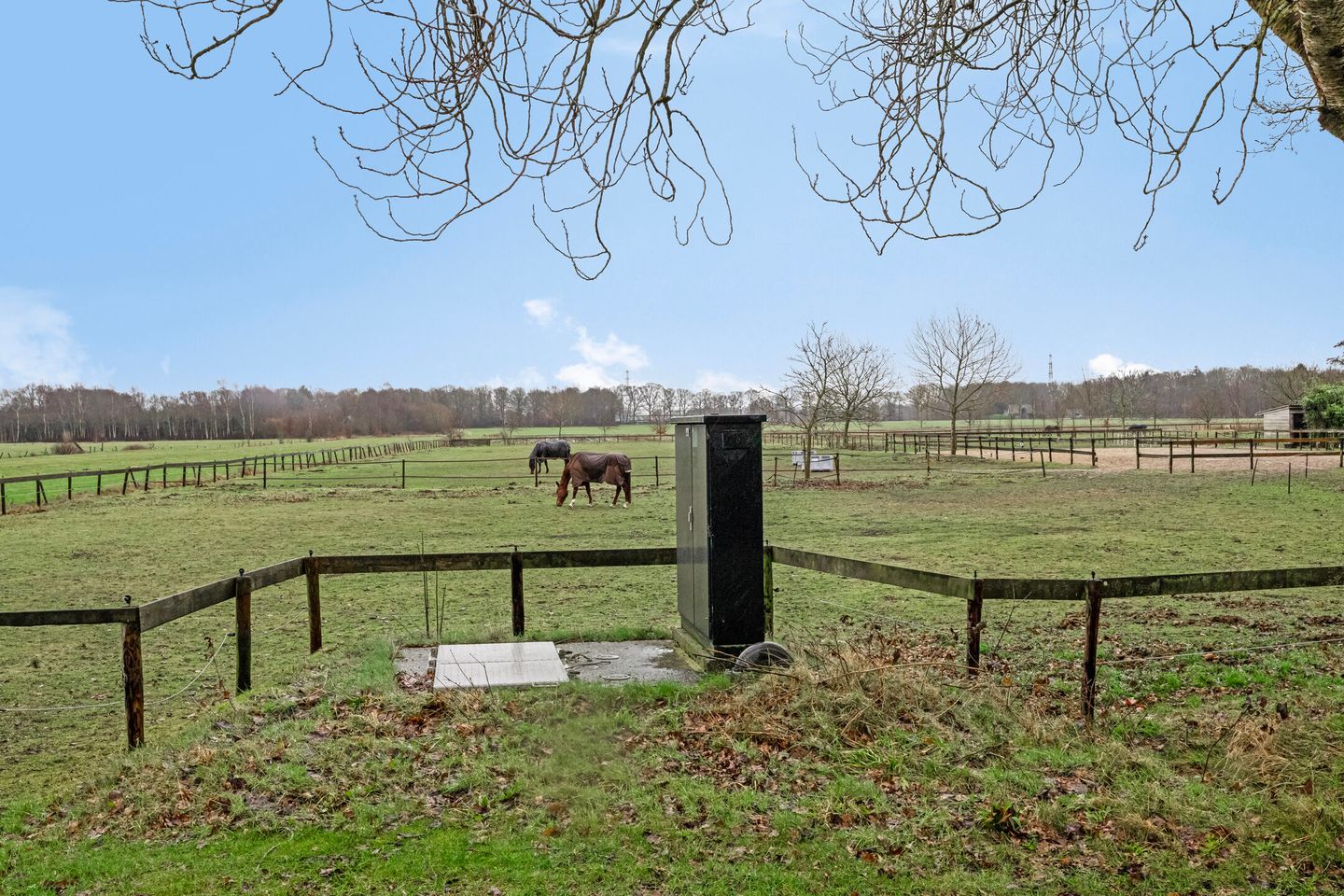 Foto 25 van de Streek 20