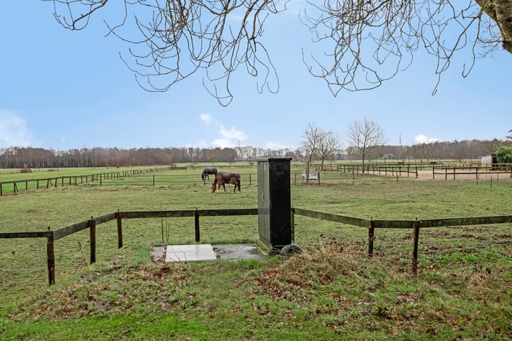 Foto 25 van de Streek 20