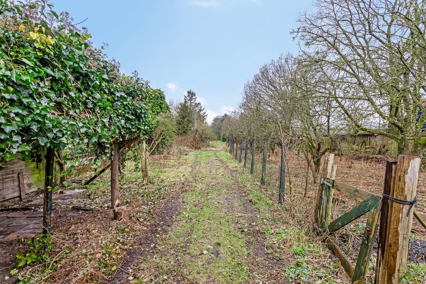 Foto 34 van de Streek 20