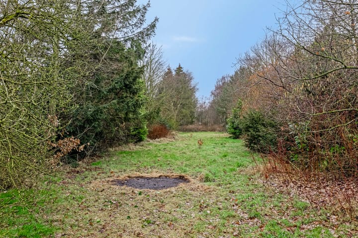 Foto 35 van de Streek 20