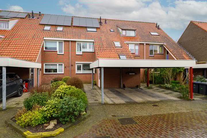 Foto 2 van Waterlelie 52