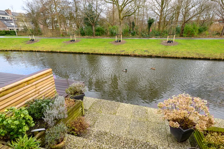 Foto 10 van Waterlelie 52