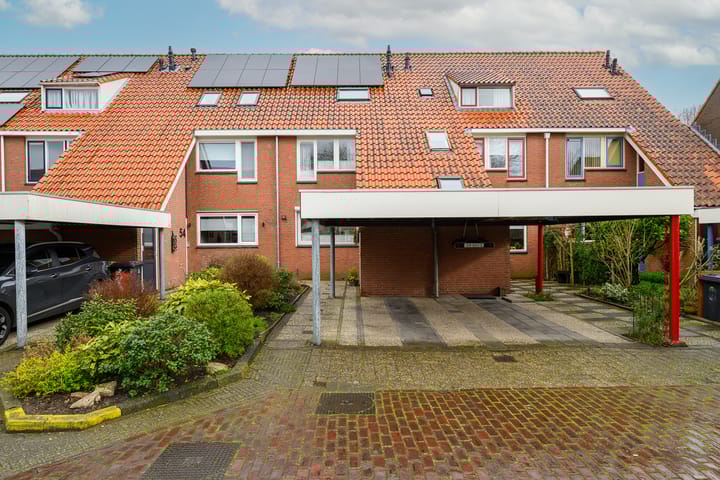 Foto 29 van Waterlelie 52