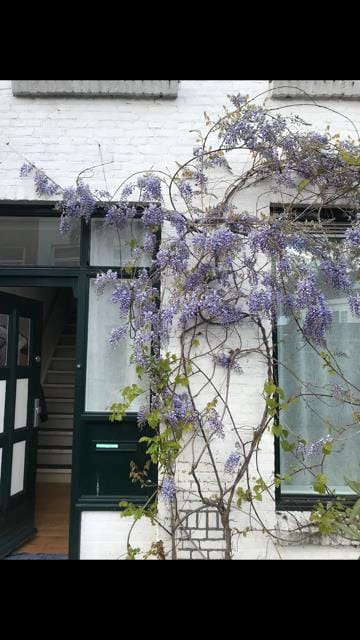 Foto 3 van Narcissenstraat 51